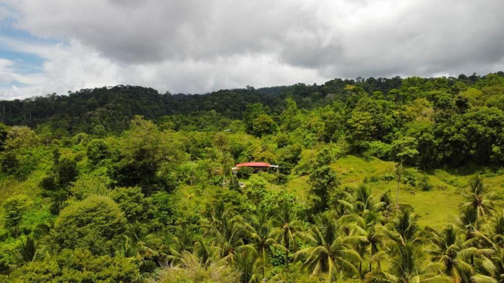 Albergue La Laguna Puerto Jiménez エクステリア 写真