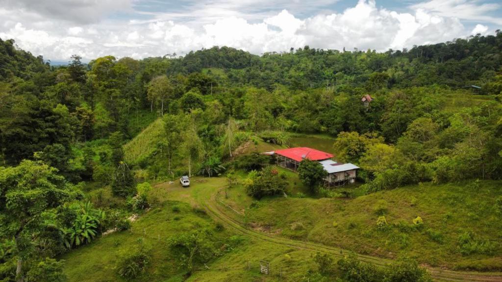 Albergue La Laguna Puerto Jiménez エクステリア 写真