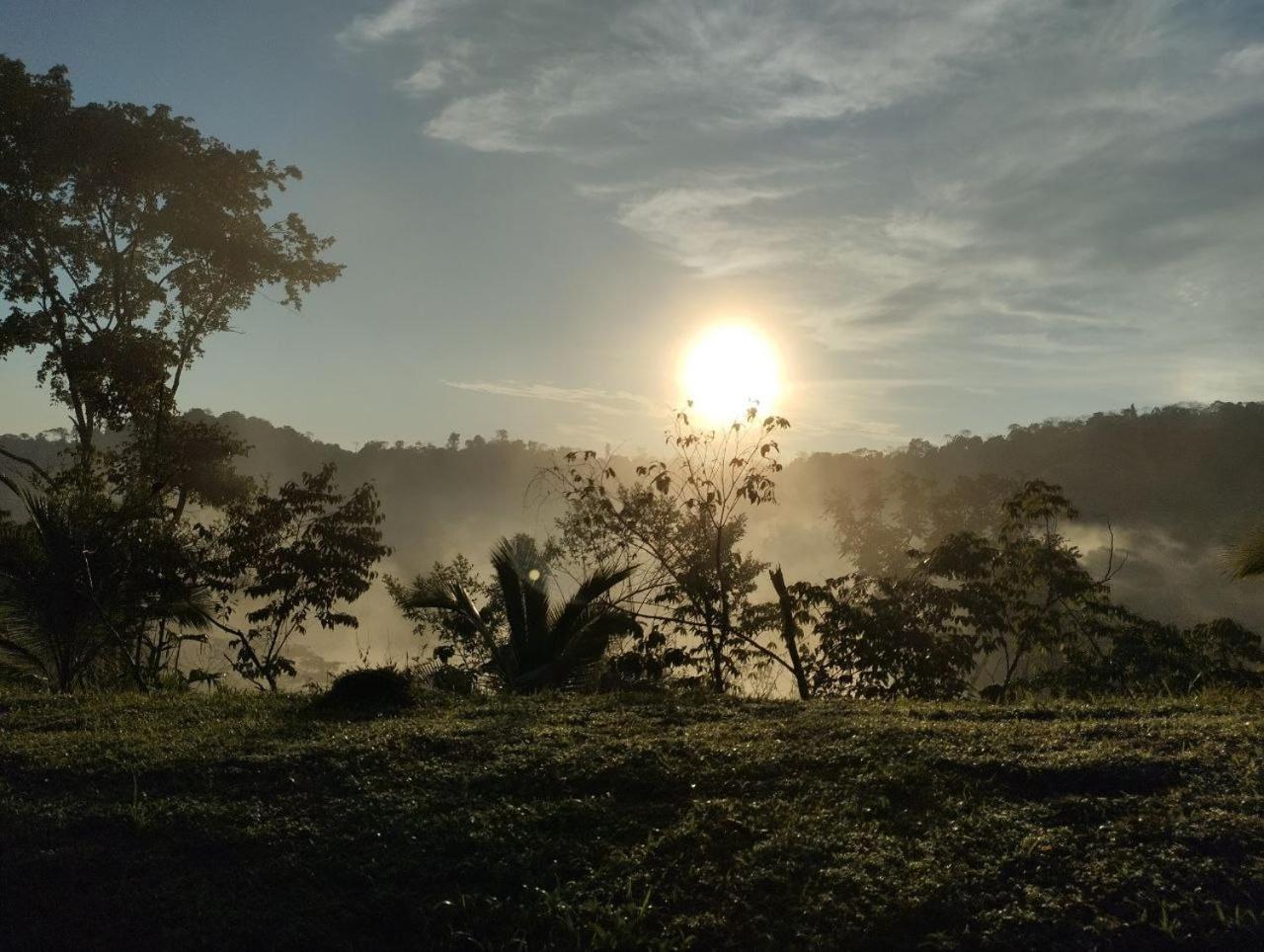 Albergue La Laguna Puerto Jiménez エクステリア 写真