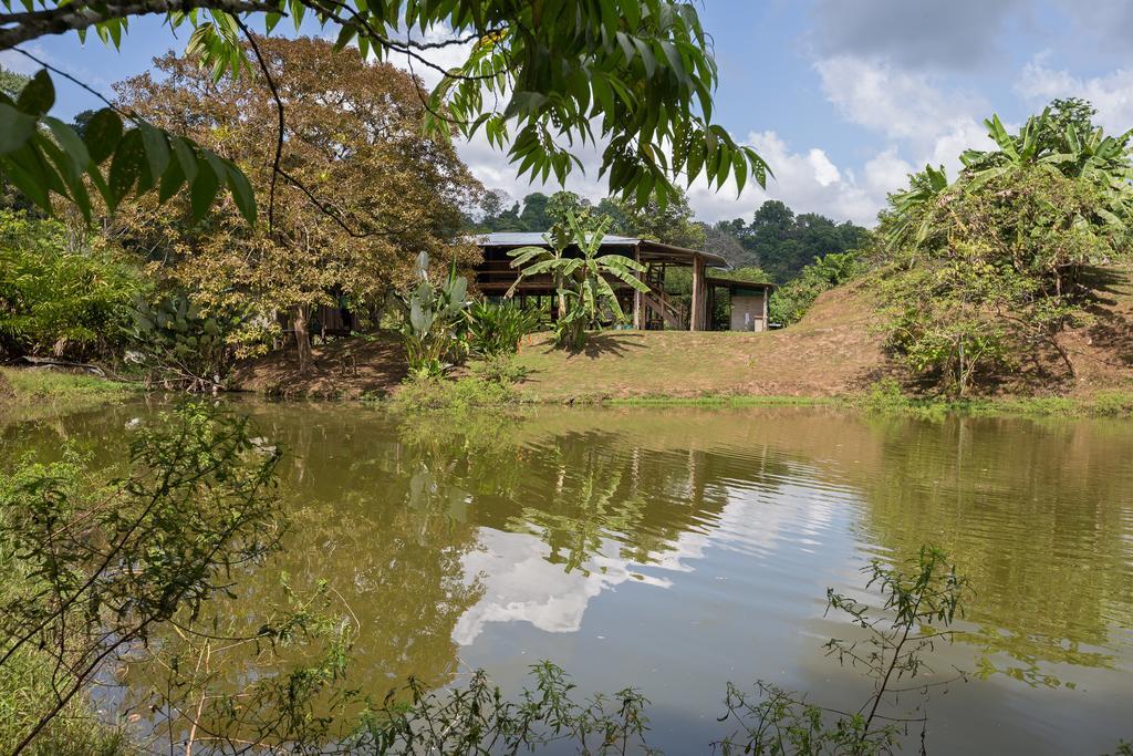 Albergue La Laguna Puerto Jiménez エクステリア 写真