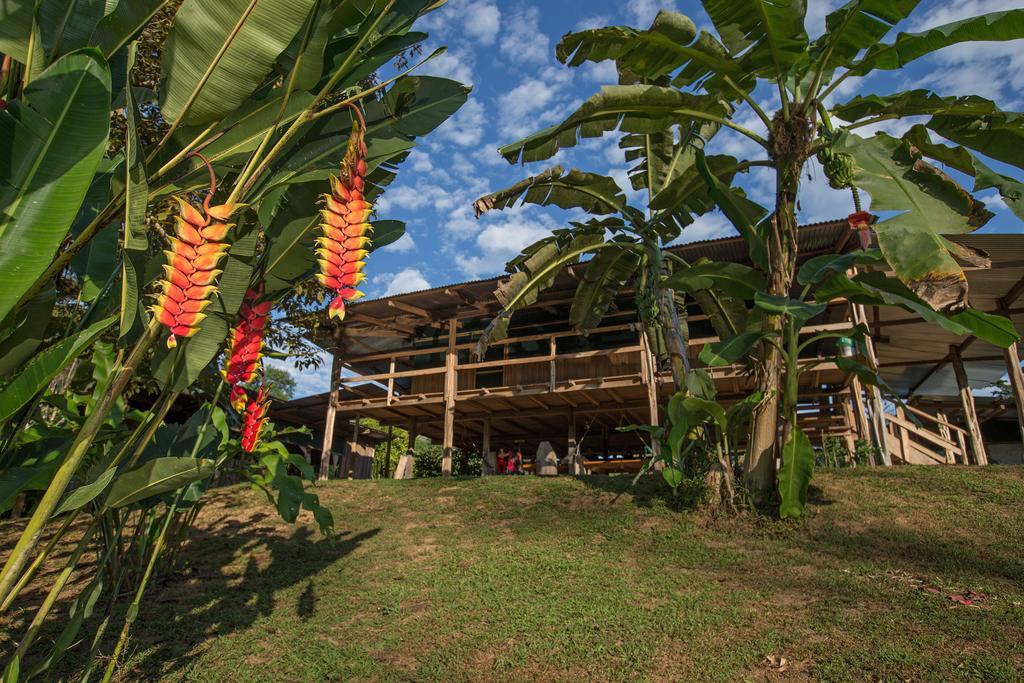 Albergue La Laguna Puerto Jiménez エクステリア 写真