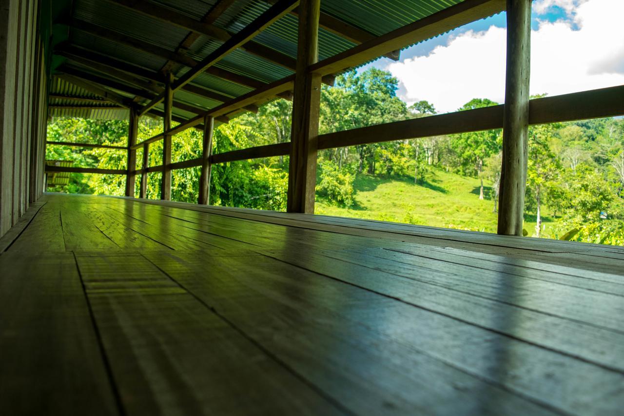 Albergue La Laguna Puerto Jiménez エクステリア 写真
