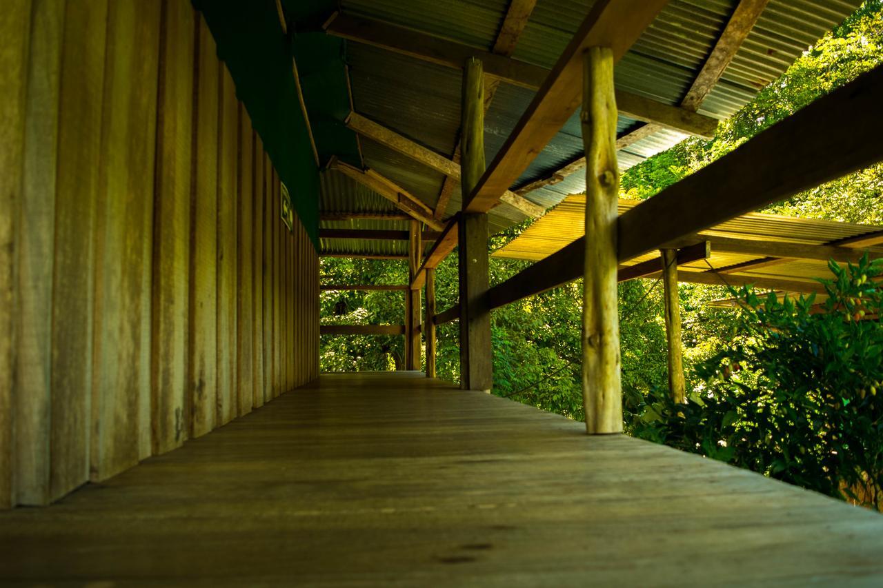 Albergue La Laguna Puerto Jiménez エクステリア 写真